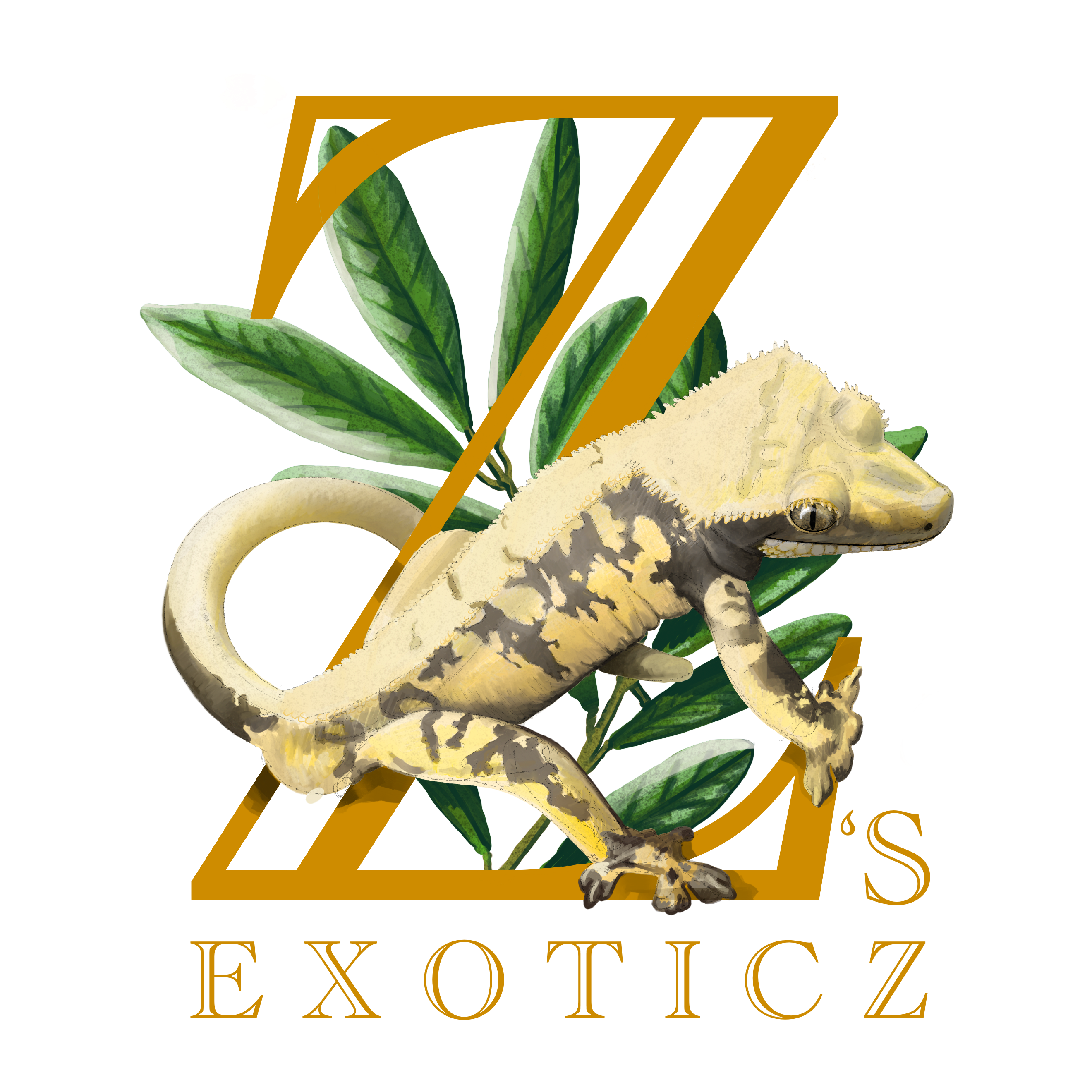 Z's Exoticz